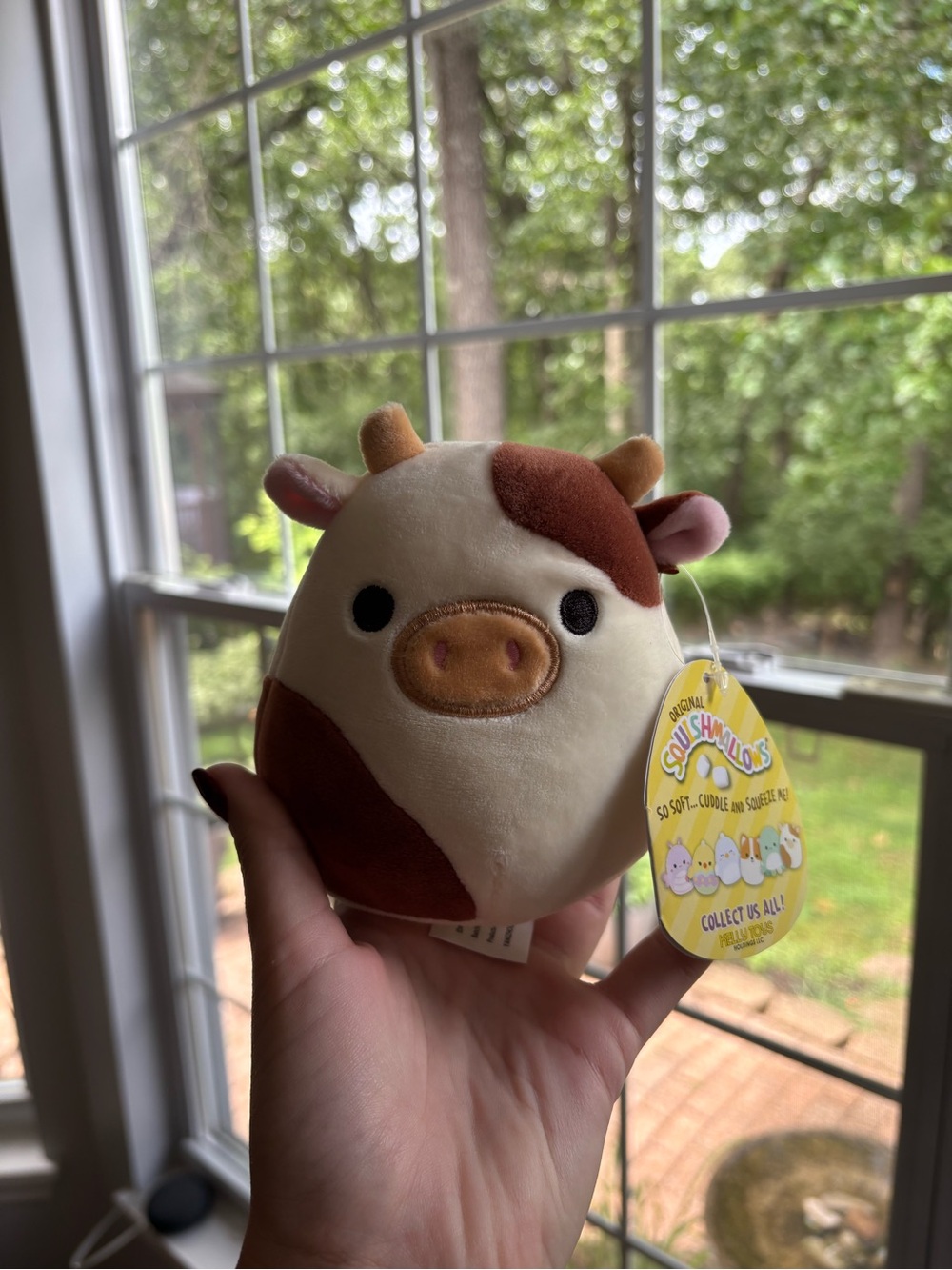 Ronnie the cow squishmallow NWT 5in easter edition original versions